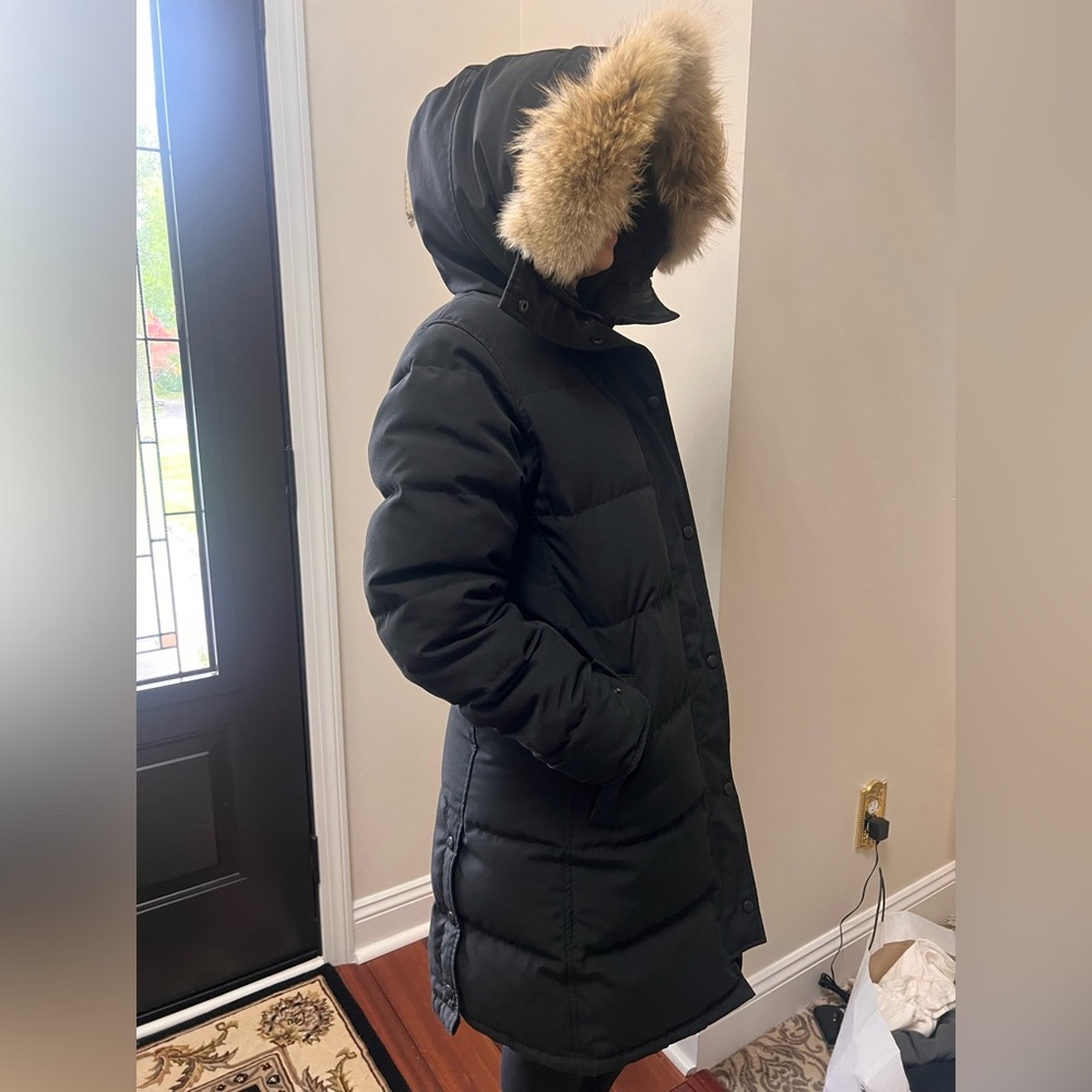 Canada Goose